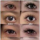 속눈썹 연장&속눈썹 펌 이미지