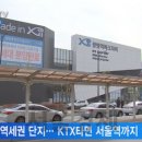 보니파크 이미지