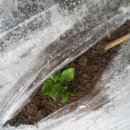 수미농장 이미지