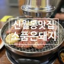 신월동133 이미지