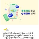 펫365 강아지분양 고양이분양 전주본점 이미지