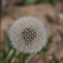 구덕초등학교 이미지