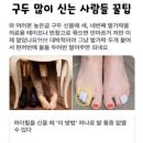사랑드림약국 네이버블로그