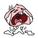 강경부화장 이미지