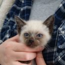 손수의과병원 이미지