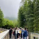 자연청람 | 중국 청두여행 1 : 선수핑 판다기지 푸바오 관람 상세후기 - 목월청람