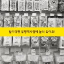 왈가닥펫 이미지