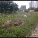 관창로4번길 이미지