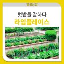 주식회사 라임플레이스