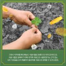 클로버푸드 이미지