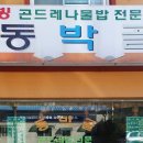 고병계곡 Daum카페