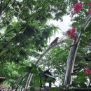 풍산지구_어린이5호 이미지