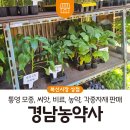 북신전통시장 | 통영 북신전통시장 경남농약사 / 통영 모종, 씨앗, 비료, 농약, 각종자재 판매