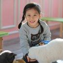 고양이네 생선가게 이미지