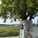 갈곡스테이 | 경주 반려견동반 갈곡스테이 | 자쿠지·불멍존·잔디마당 있는 감성 숙소 후기