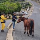 부산에서 다녀온 일본 이미지