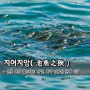 오늘의 고사성어＞ 지어지앙(池魚之殃) - 연못 속의 물고기의 재앙, 화가 엉뚱한 곳에 미침 이미지