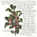 녹색대학문고 | 2026 제주도민대학 '나도 피카소-현대미술 입문' by 임종길 작가의 수업을 듣다