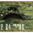 아쿠아월드 이미지