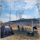 세종 합강캠핑장 | 세종 가볼만한곳 합강캠핑장 바베큐장 8인 이용 후기(예약방법 및 시설정보)
