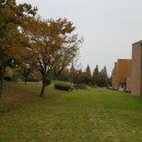 금샘약국 이미지