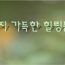 힐링 음이온 발생기 너무나 감탄했어요! 이미지