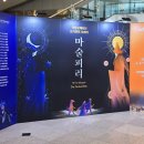 대전 오페라 공연 후기 | 모차르트 오페라 마술피리
