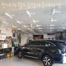 월드손세차장 이미지
