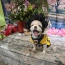 놀이터식당 이미지