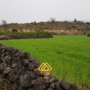 고성리-3 이미지