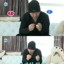 용감한 형제 카카오 검색결과