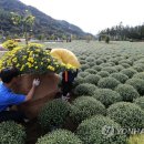 용대주유소 이미지