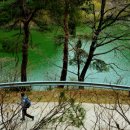 아리바우길 이미지