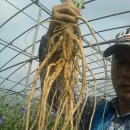 창수농장 이미지