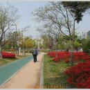 광주광역시시립도서관 이미지