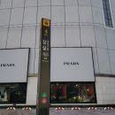 대풍목장 | [여행] 강원도 당일치기: 테마캠프 대관령 양떼목장 패키지 최고, 안목항 카페거리, 정동진! 풍성하게...