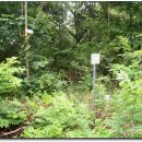 거전마을 이미지