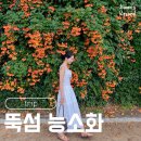 뚝섬한강공원-16 | 뚝섬한강공원 능소화 위치 개화현황 주차 실시간 후기 꿀팁