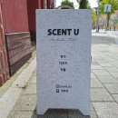 센트유 이미지