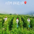 얼쑤농장 이미지