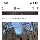 GS25군포궁내점 이미지