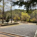 태화연 야영장 1 이미지