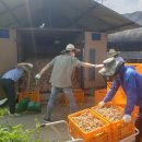 이문영농가 이미지