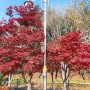 구리역광장 이미지