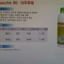 썬바이오텍 네이버블로그