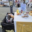 펫소울메이트 이미지