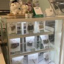 원두네 멍냥백서 이미지