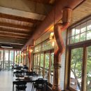 앞산강아지 이미지