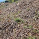 주촌농장 이미지