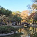 서울의 가을을 만끽하는 관악산 계곡 나들길 트레킹: 무너미고개, 관악수목원, 안양예술공원 코스